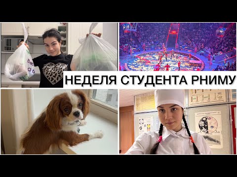 Видео: НЕДЕЛЯ СТУДЕНТА РНИМУ
