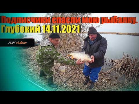 Видео: Осенняя рыбалка в Ноябре на карпа (сазана). Рыбалка на Глубоком Турунчуке. 14.11.2021.