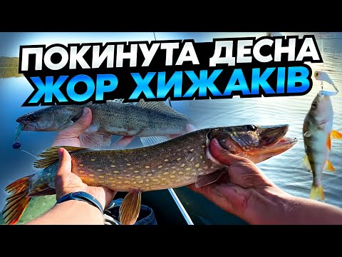 Видео: Рибалка на безлюдних місцях. Спінінг на Десні восени 2024. Ловимо окуня, щуку, судака