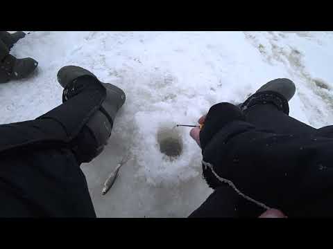 Видео: Открыли рыболовный  сезон 2025 года на речушке!