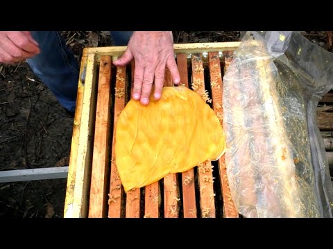 Видео: Разные способы подкормки пчел зимой.
