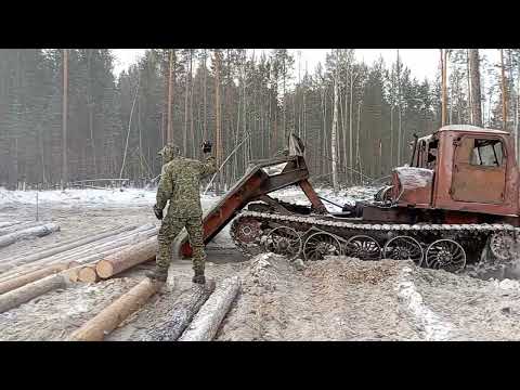 Видео: Работа в лесу для настоящих мужиков. ✊