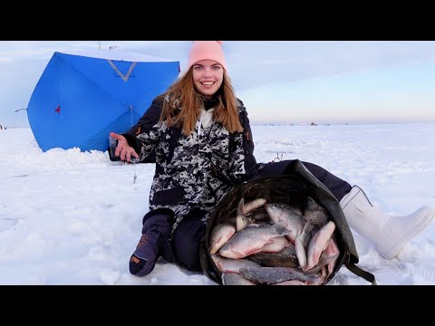 Видео: В ЭТИХ ЛУНКАХ КУЧА РЫБЫ! Первый лед 2022-23. Зимняя рыбалка на карася с ночевкой в палатке.