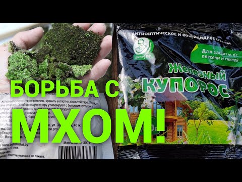 Видео: Как избавиться от МХА и Лишайников на участке. Проверенный способ 100% результат.