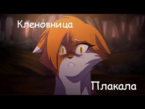 Видео: Коты воители-плакала [Кленовница]