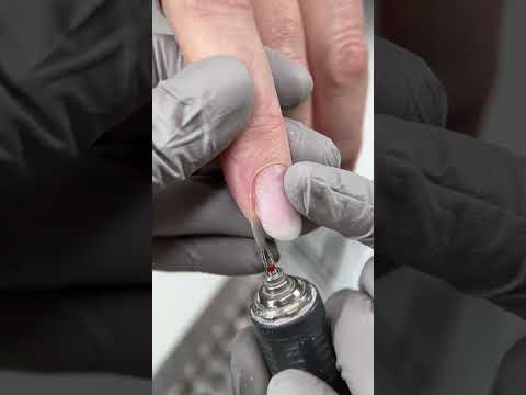 Видео: 16 октября 2025 г.