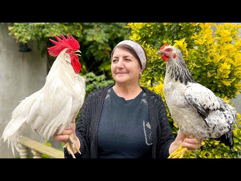 Видео: Целый хрустящий цыпленок, обжаренный под камнем! Нереально вкусный рецепт курицы