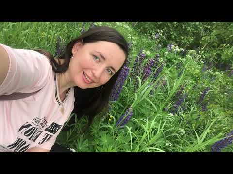 Видео: Серебряный Плес