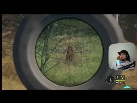 Видео: Чилловый, смотрим всякое, потом может поиграем