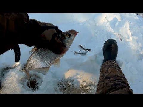 Видео: Мини Покаток выручил. Когда на мормышку не клюет