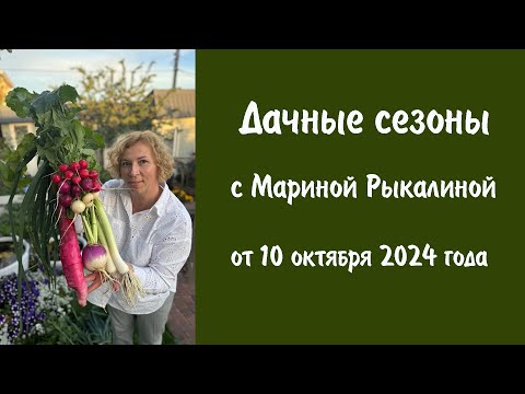 Видео: Дачные сезоны с Мариной Рыкалиной от 10 октября 2024 года