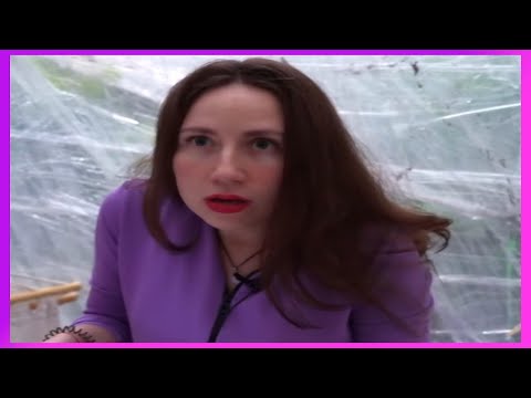 Видео: элли ди теперь мой любимый блогер