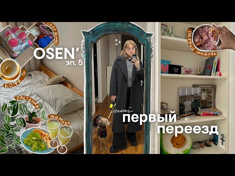 Видео: я переехала! сбор вещей, новая квартира, причины и друзья