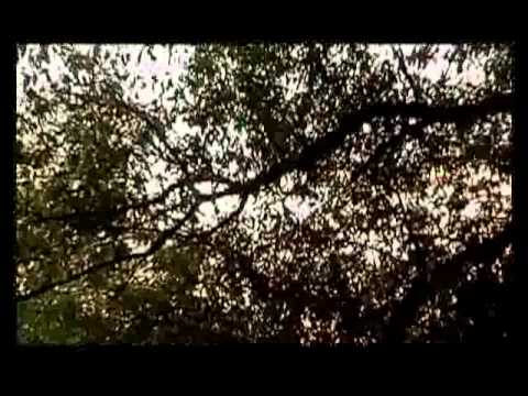 Видео: Лошицкий парк фильм 2