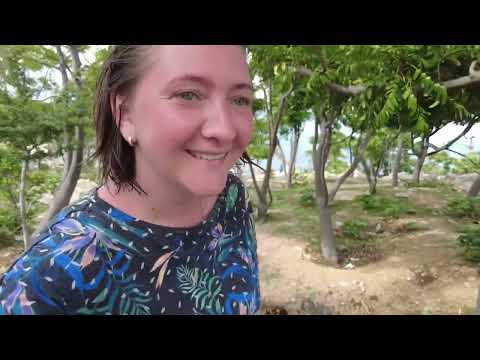 Видео: Выпуск 11. Вьетнам.Нячанг-Фанранг. Лабиринт Дракона. Виноградники.