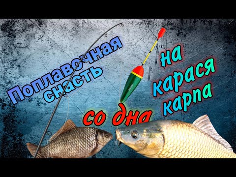 Видео: Лучшая поплавочная удочка на карася и карпа. Лайфхаки. Секреты рыбаков.