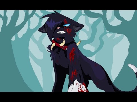 Видео: [Коты-Воители] Бич/Тик так на часах {Заказ}