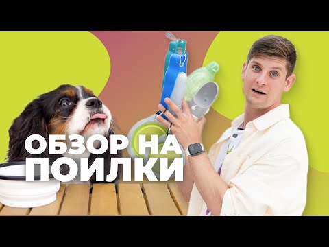 Видео: Обзор поилок для собак 🐕 Как выбрать лучшую на прогулку