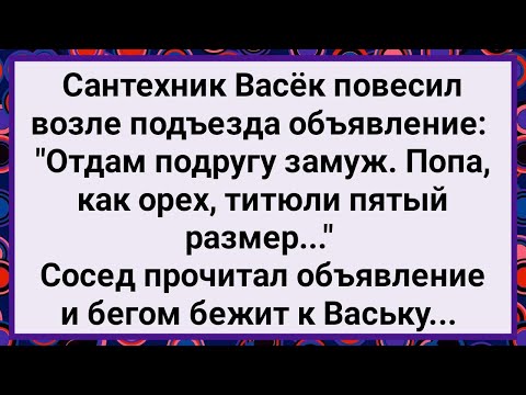 Видео: Как Сантехник Васек Подругу Замуж Отдавал! Большой Сборник Свежих Смешных Жизненных Анекдотов!