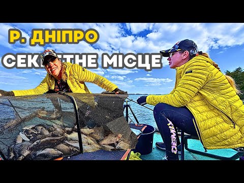Видео: Знайшла рибу під ногами👀 Клює на кожному закиді🎣 Фідер у секретному місці біля Києва