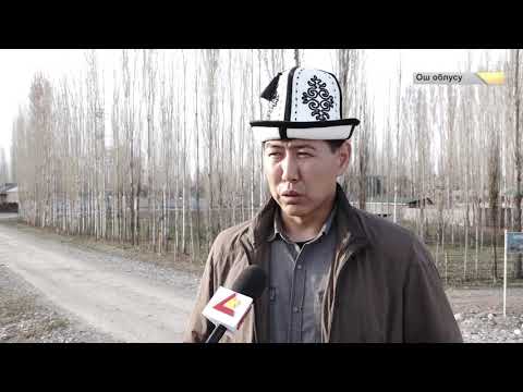 Видео: Ак Жар айыл өкмөтү