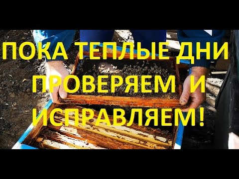 Видео: Пока есть теплые дни, все можно исправить!