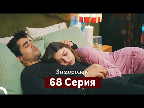 Видео: Зимородок 68 Cерия (Русский дубляж)