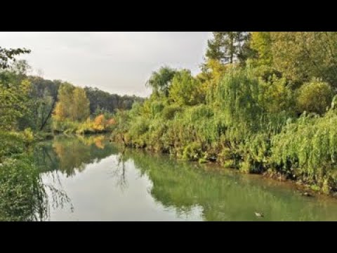 Видео: Река Химка от истока до устья