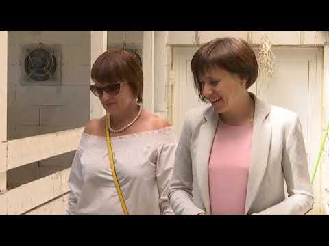 Видео: Перепелиная ферма Елены Алейниковой из Выселковского района