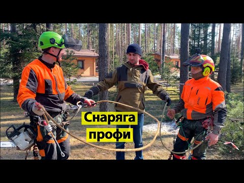 Видео: Обвес профессионалов. Спецы в арбористике