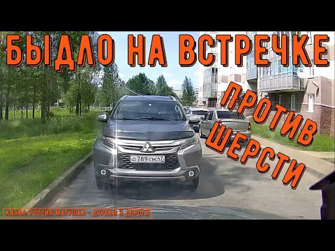 Видео: Быдло на встречке #193! Подборка на видеорегистратор!