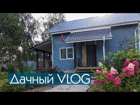 Видео: Дачный влог. Собираем грибы. Теплица. Про газон. / Vlog of my life