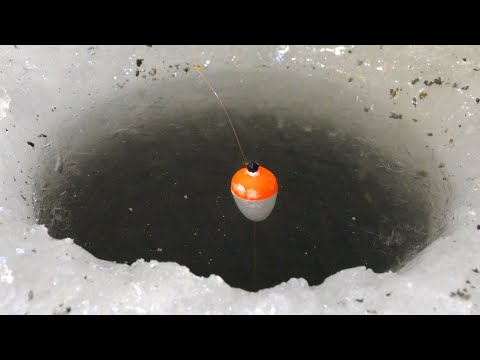 Видео: В ЭТУ ЛУНКУ...ОГРОМНЫЙ КАРАСЬ УТАЩИЛ ПОПЛАВОК! Зимняя рыбалка 2020