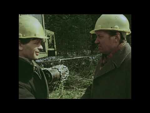 Видео: Клуб "лесоруб 80"