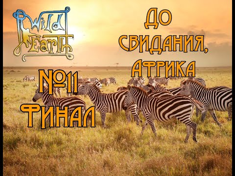 Видео: Wild Earth - Фото-сафари -  До свидания, Африка #11 🐒 Финал