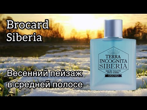 Видео: Brocard Terra Incognita Siberia, так пахнет весна в городе