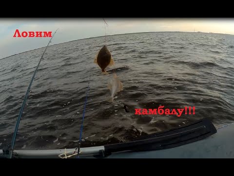 Видео: Как ловим камбалу и не только. Рыбалка на Белое море.