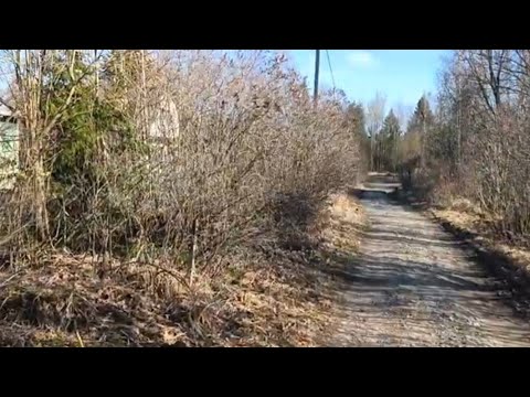 Видео: 23.04.23.Дача.Открытие сезона 2023👍1 часть