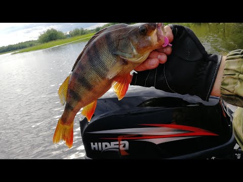 Видео: Обкатка мотора HIDEA 9.9 Рыбалка, и первые проблемы и впечатленеия от мотора.