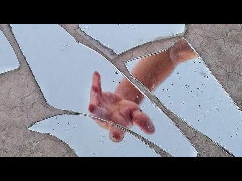 Видео: Переворот мотивов в выздоровлении. Илья Т. и Маруся