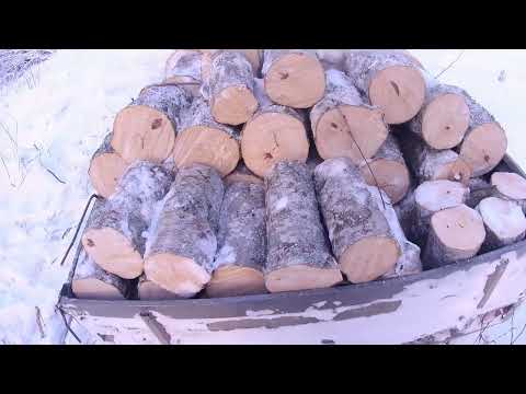Видео: Заготовка дров завершена!!!