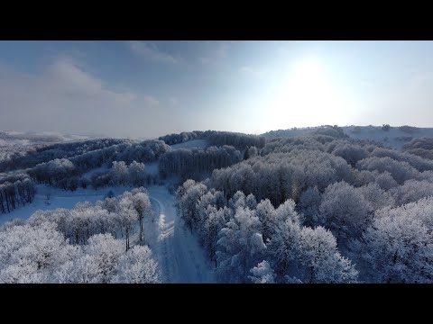 Видео: Черемшанка Aero + Зимовье Aero Восточный Казахстан Eastern Kazakhstan