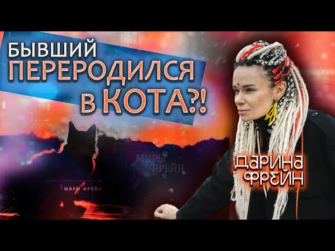 Видео: Есть ли у животных душа? Кто крадет тела? Почему ходят деревья?