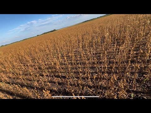 Видео: Соя S007 перед збиранням😱 буде хоч 15 ц⁉️