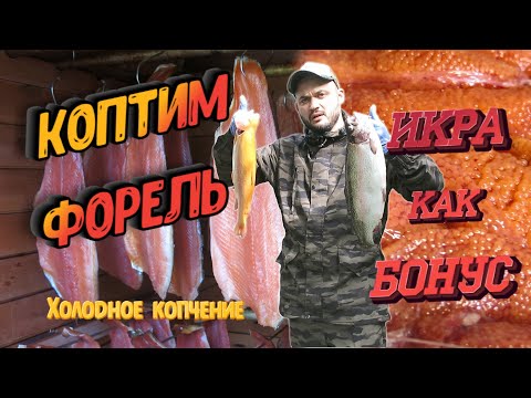 Видео: Солим и коптим красную рыбу (форель). Холодное копчение. РЫБА С ИКРОЙ, как засолить красную икру?