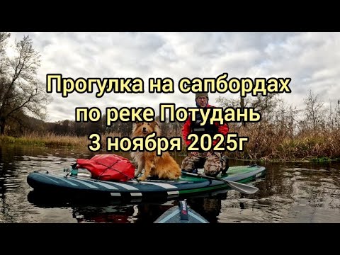 Видео: Протоками Потудани. Ноябрьская прогулка на сапбордах 03.11.25 #сапборд