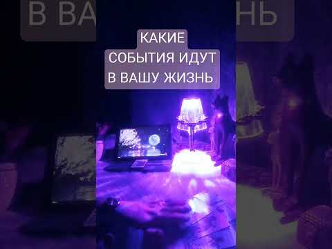 Видео: КАКИЕ СОБЫТИЯ ИДУТ В ВАШУ ЖИЗНЬ ⁉️💯