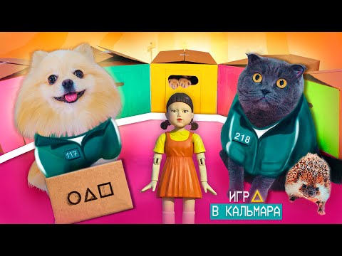 Видео: ИГРА В КАЛЬМАРА 2 В РЕАЛЬНОЙ ЖИЗНИ С ПИТОМЦАМИ | ТРЕТИЙ ЛИШНИЙ - Прошли ВСЕ ИСПЫТАНИЯ