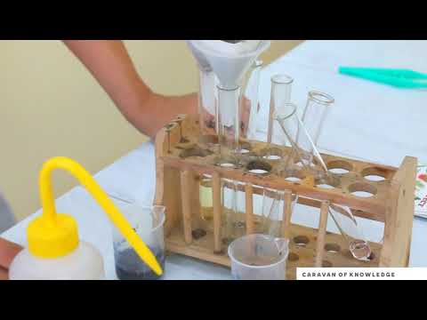 Видео: Биология. 11 сынып. Заттардың тасымалдануының steam сабақ