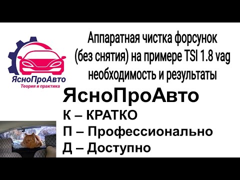 Видео: 1 августа 2025 г.